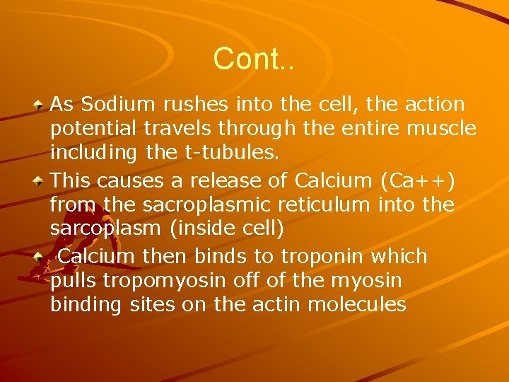 Cont. . As Sodium rushes into the cell, the action potential travels through the