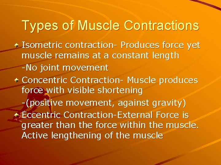 Types of Muscle Contractions Isometric contraction- Produces force yet muscle remains at a constant