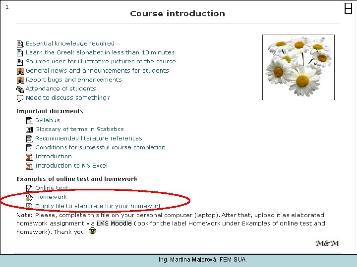 Ing. Martina Majorová, FEM SUA 