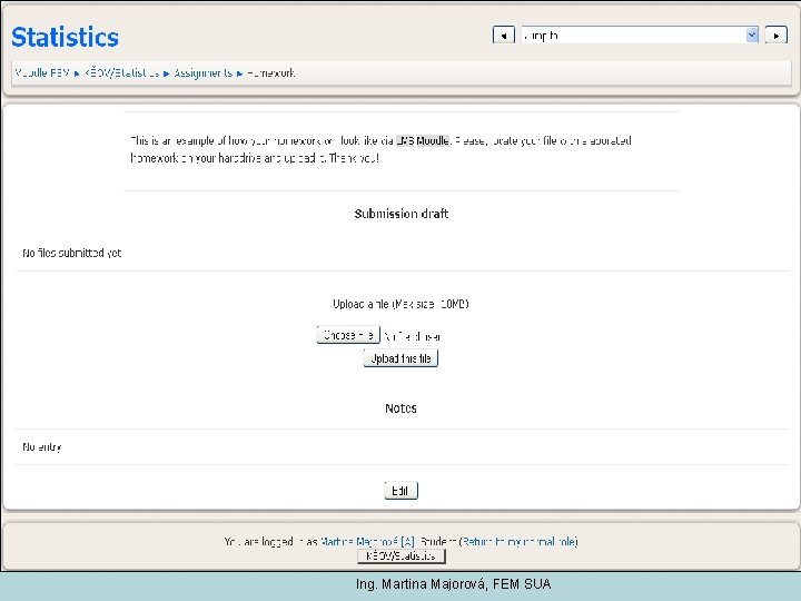 Ing. Martina Majorová, FEM SUA 
