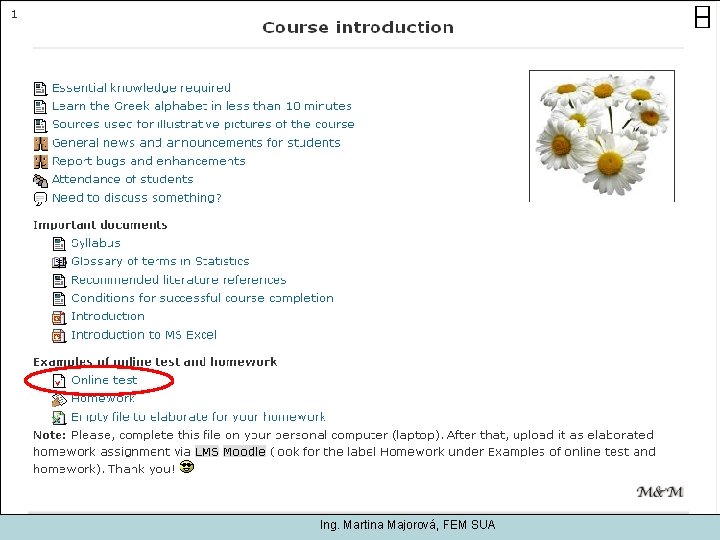 Ing. Martina Majorová, FEM SUA 