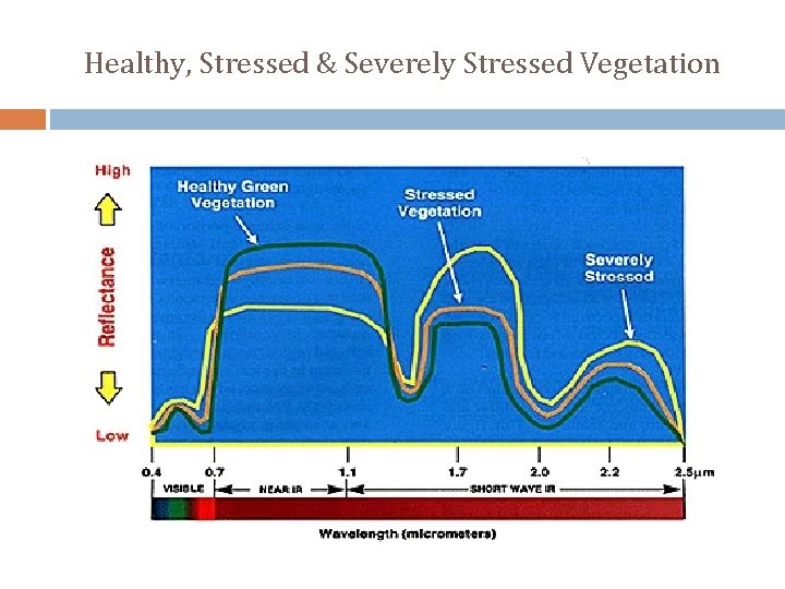 Healthy, Stressed & Severely Stressed Vegetation 