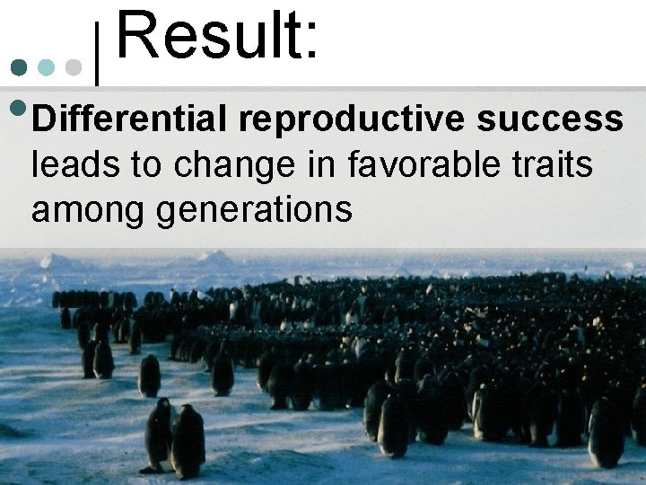 Result: • Differential reproductive success leads to change in favorable traits among generations 