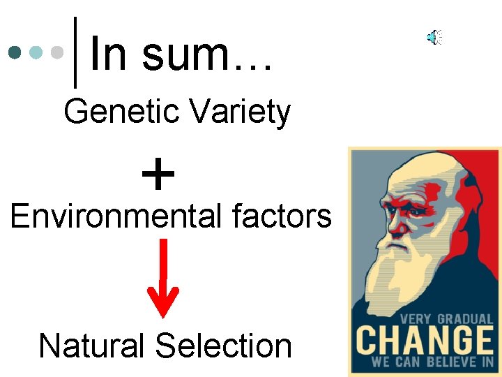 In sum… Genetic Variety + Environmental factors Natural Selection 