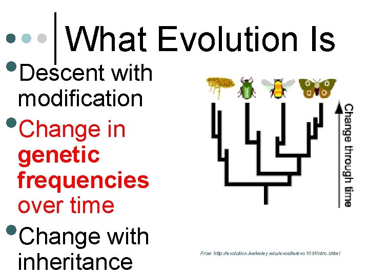 What Evolution Is • Descent with modification • Change in genetic frequencies over time