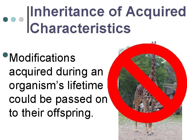 Inheritance of Acquired Characteristics • Modifications acquired during an organism’s lifetime could be passed