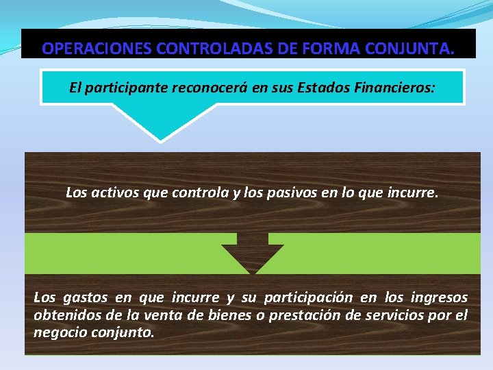 OPERACIONES CONTROLADAS DE FORMA CONJUNTA. El participante reconocerá en sus Estados Financieros: Los activos