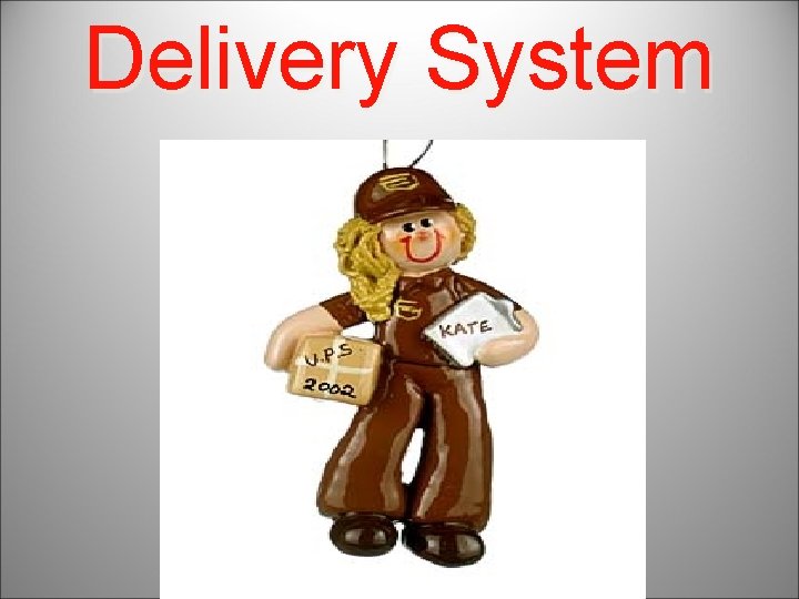 Delivery System 