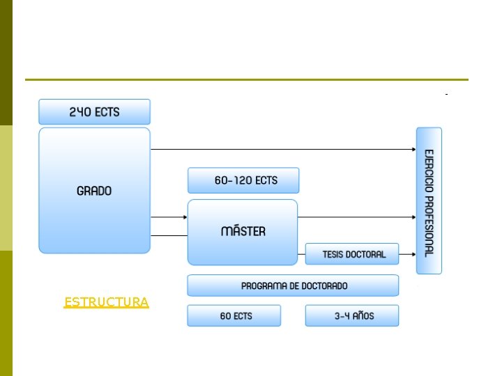 ESTRUCTURA 