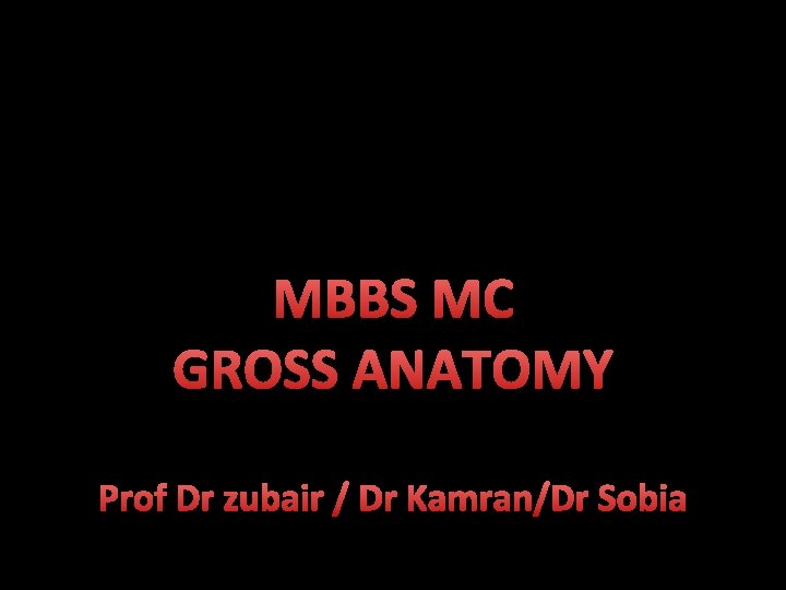 MBBS MC GROSS ANATOMY Prof Dr zubair / Dr Kamran/Dr Sobia 