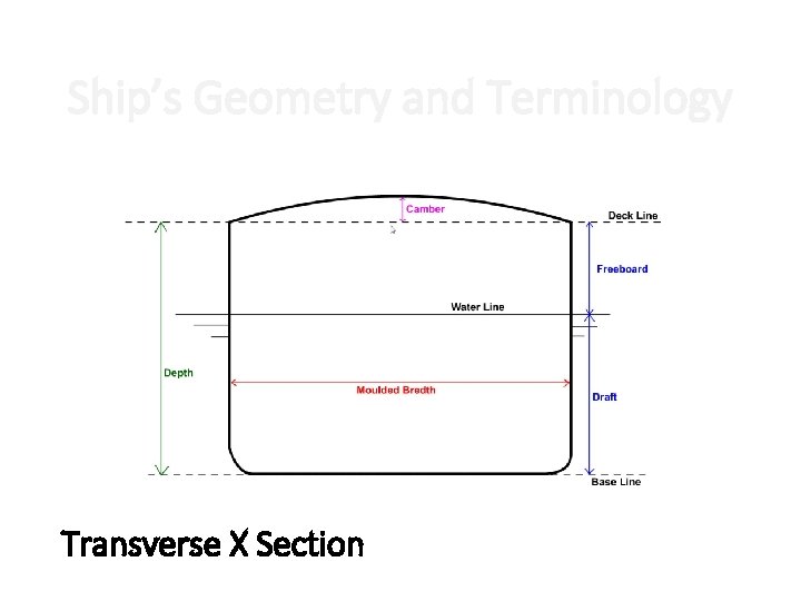 Ship’s Geometry and Terminology Transverse X Section Ship’s Geometry and Terminology Transverse X Section