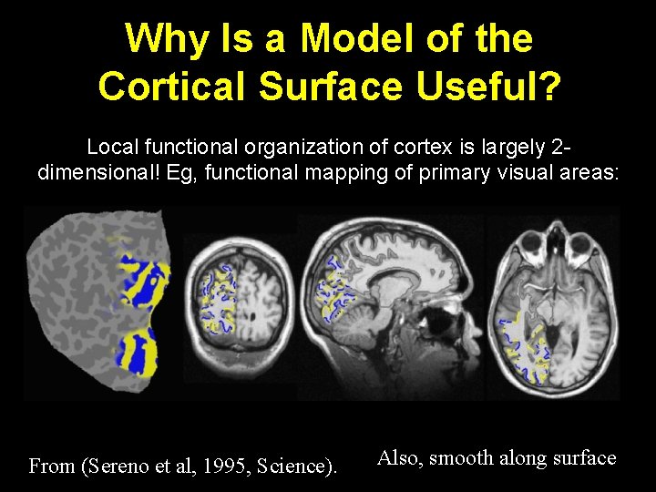 Why Is a Model of the Cortical Surface Useful? Local functional organization of cortex