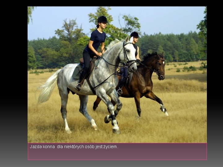 Jazda konna dla niektórych osób jest życiem. 