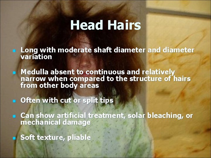 Head Hairs n n Long with moderate shaft diameter and diameter variation Medulla absent Head Hairs n n Long with moderate shaft diameter and diameter variation Medulla absent
