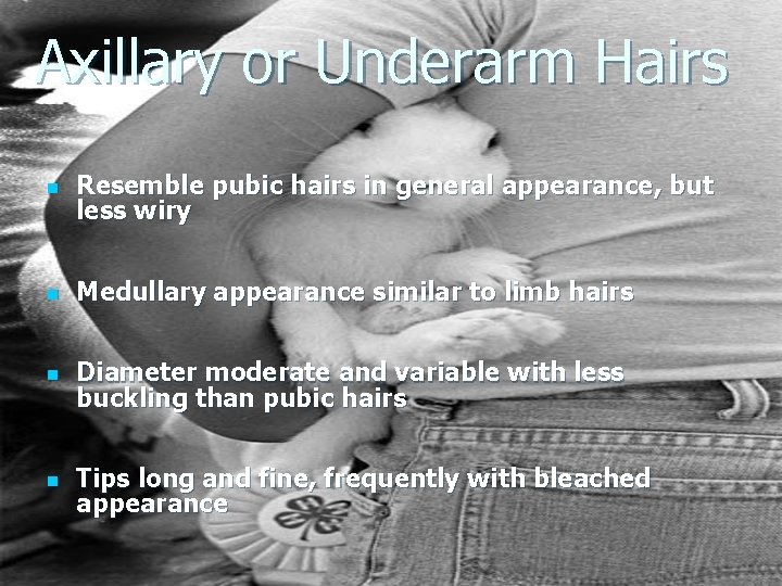 Axillary or Underarm Hairs n Resemble pubic hairs in general appearance, but less wiry Axillary or Underarm Hairs n Resemble pubic hairs in general appearance, but less wiry