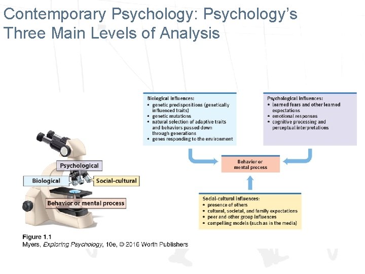 Contemporary Psychology: Psychology’s Three Main Levels of Analysis 
