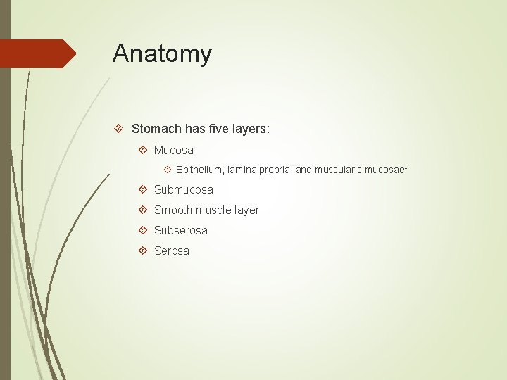 Anatomy Stomach has five layers: Mucosa Epithelium, lamina propria, and muscularis mucosae* Submucosa Smooth