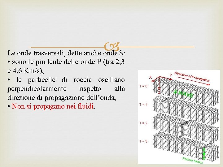  Le onde trasversali, dette anche onde S: • sono le più lente delle