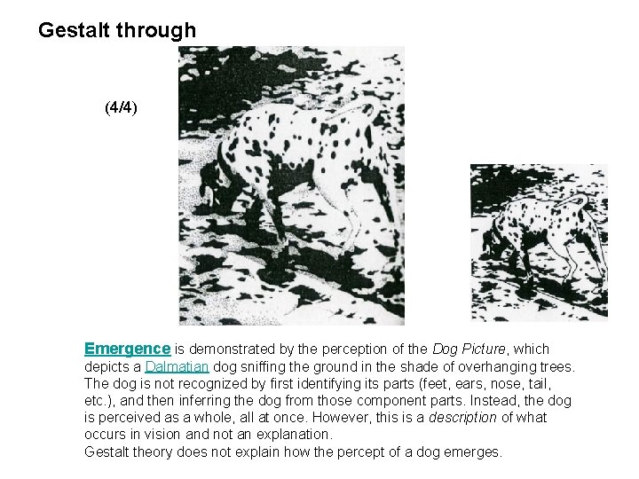 Gestalt through (4/4) Emergence is demonstrated by the perception of the Dog Picture, which