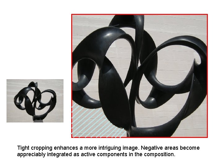 Tight cropping enhances a more intriguing image. Negative areas become appreciably integrated as active