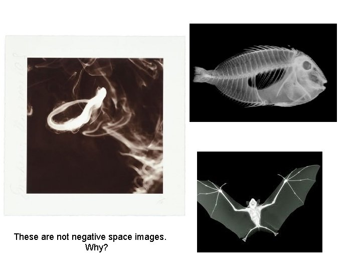 These are not negative space images. Why? 