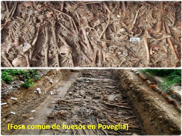 (Fosa común de huesos en Poveglia) (Fosa común de huesos en Poveglia)