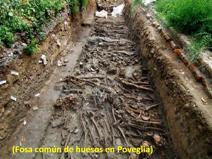 (Fosa común de huesos en Poveglia) (Fosa común de huesos en Poveglia)