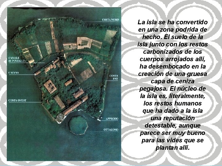 La isla se ha convertido en una zona podrida de hecho. El suelo de La isla se ha convertido en una zona podrida de hecho. El suelo de