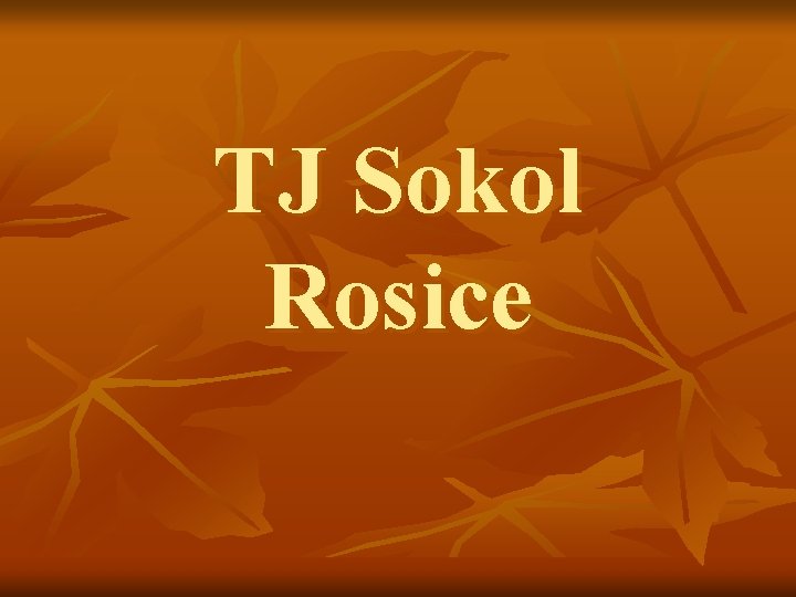 TJ Sokol Rosice 