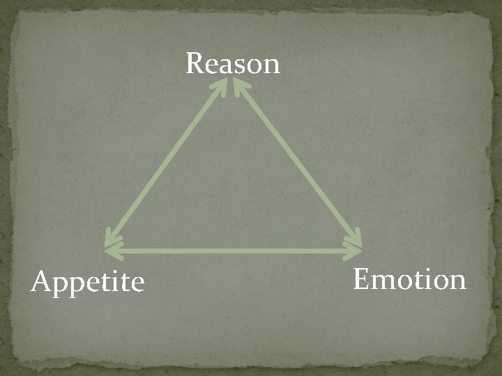 Reason Appetite Emotion 