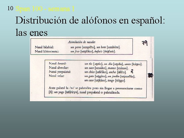 10 Span 100 - semana 1 Distribución de alófonos en español: las enes 