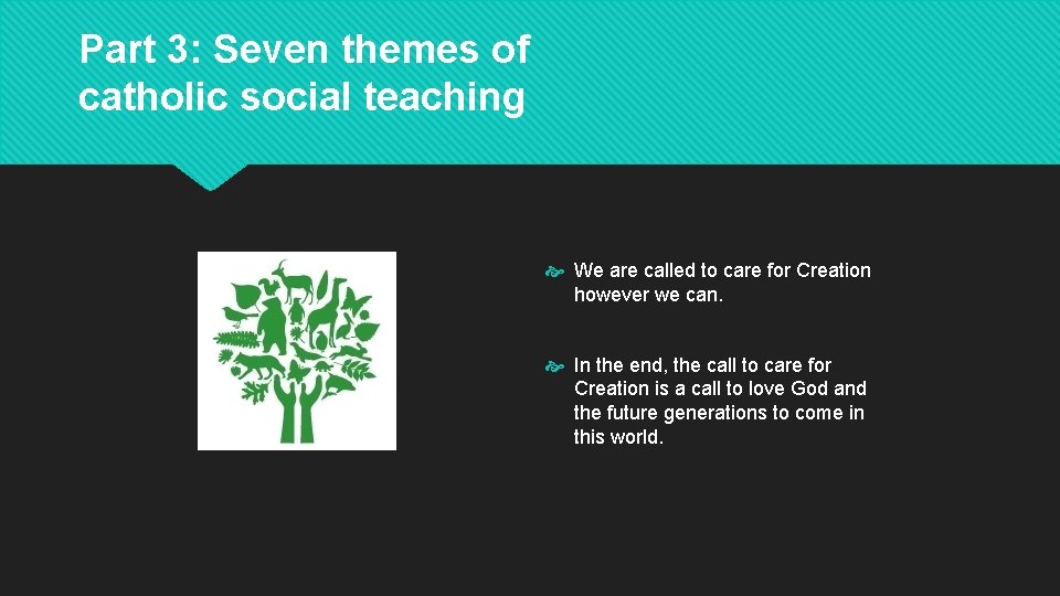 Part 3: Seven themes of catholic social teaching We are called to care for