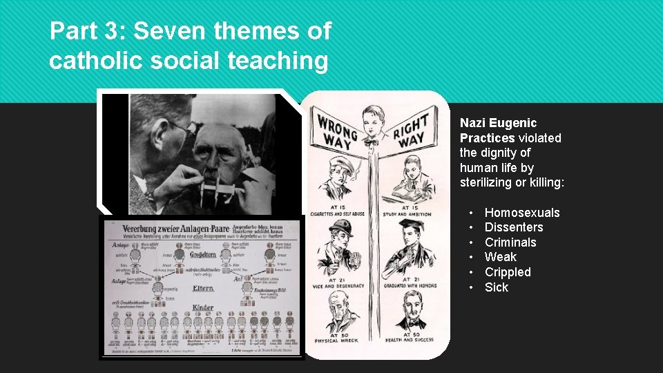 Part 3: Seven themes of catholic social teaching • Nazi Eugenic Practices violated the