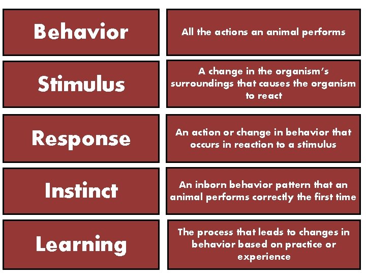 Behavior All the actions an animal performs Stimulus A change in the organism’s surroundings