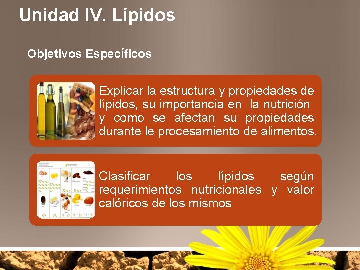 Unidad IV. Lípidos Objetivos Específicos Explicar la estructura y propiedades de lípidos, su importancia