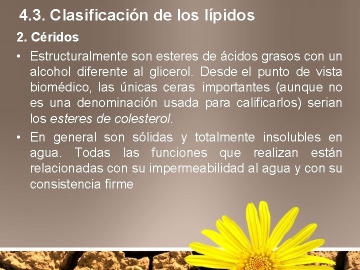 4. 3. Clasificación de los lípidos 2. Céridos • Estructuralmente son esteres de ácidos
