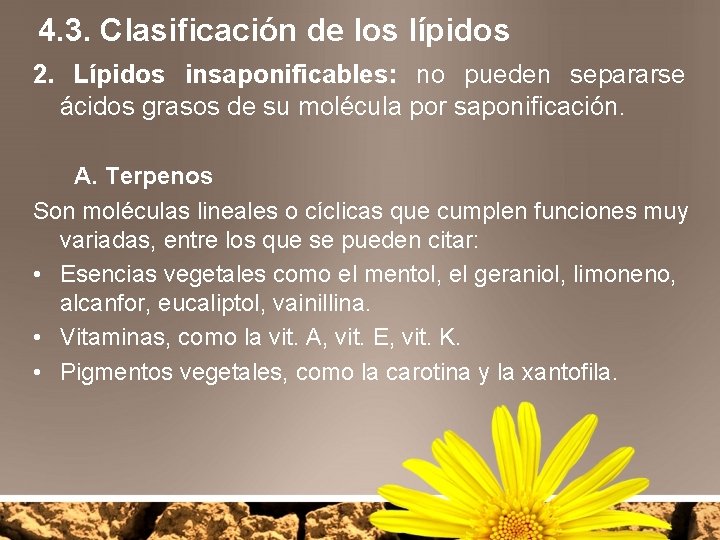 4. 3. Clasificación de los lípidos 2. Lípidos insaponificables: no pueden separarse ácidos grasos