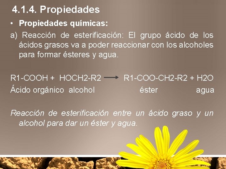4. 1. 4. Propiedades • Propiedades químicas: a) Reacción de esterificación: El grupo ácido