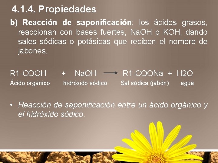 4. 1. 4. Propiedades b) Reacción de saponificación: los ácidos grasos, reaccionan con bases