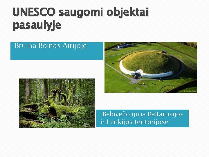 UNESCO saugomi objektai pasaulyje Bru na Boinas Airijoje Belovežo giria Baltarusijos ir Lenkijos teritorijose