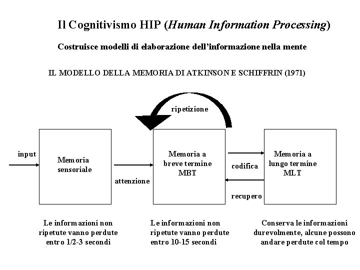 Il Cognitivismo HIP (Human Information Processing) Costruisce modelli di elaborazione dell’informazione nella mente IL