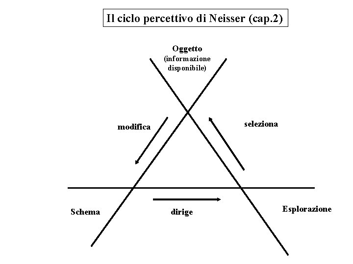 Il ciclo percettivo di Neisser (cap. 2) Oggetto (informazione disponibile) seleziona modifica Schema dirige