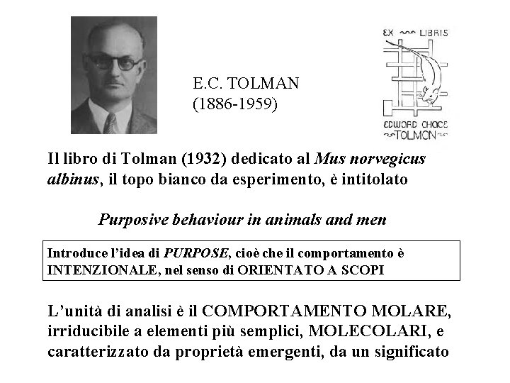 E. C. TOLMAN (1886 -1959) Il libro di Tolman (1932) dedicato al Mus norvegicus