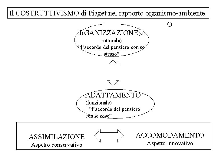 Il COSTRUTTIVISMO di Piaget nel rapporto organismo-ambiente O RGANIZZAZIONE(st rutturale) “l’accordo del pensiero con