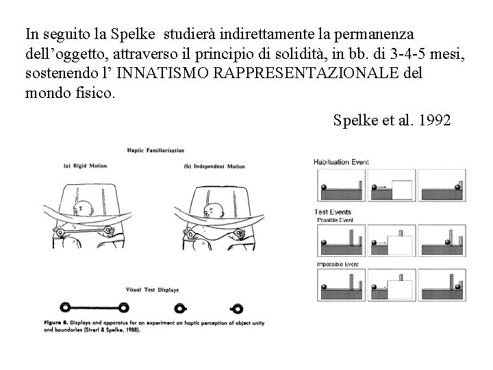 In seguito la Spelke studierà indirettamente la permanenza dell’oggetto, attraverso il principio di solidità,