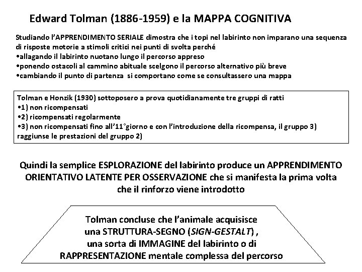 Edward Tolman (1886 -1959) e la MAPPA COGNITIVA Studiando l’APPRENDIMENTO SERIALE dimostra che i