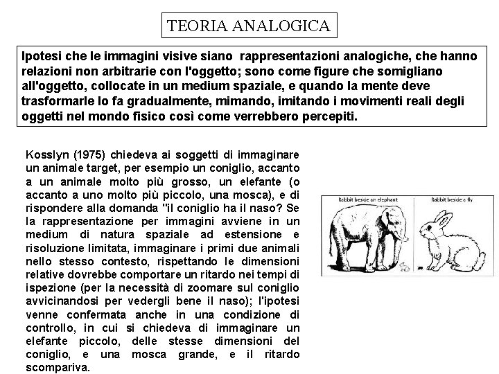 TEORIA ANALOGICA lpotesi che le immagini visive siano rappresentazioni analogiche, che hanno relazioni non