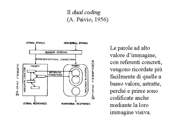 Il dual coding (A. Paivio, 1956) Le parole ad alto valore d’immagine, con referenti