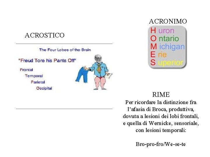 ACRONIMO ACROSTICO RIME Per ricordare la distinzione fra l’afasia di Broca, produttiva, dovuta a