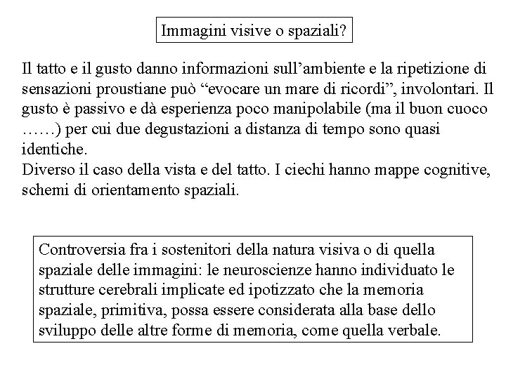 Immagini visive o spaziali? Il tatto e il gusto danno informazioni sull’ambiente e la